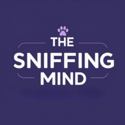 Help your dog through scent